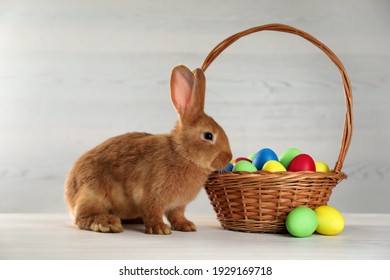 Cute Bunny Basket Easter Eggs On Stock Photo 1929169718 