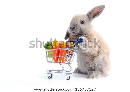 Cute bunny shopping for his favorite snacks with shopping cart, isolated on white