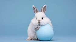 Cute Bunny And Single Easter Egg. Concept And Idea Of Happy Easter Day.