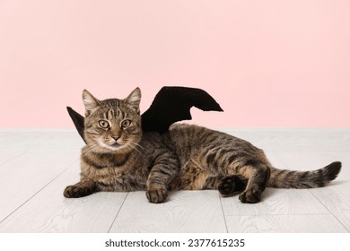 Cute cat with bat wings near pink wall