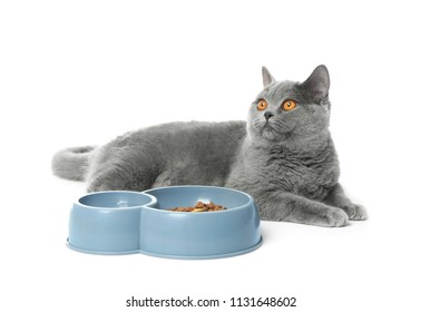 Cute Cat And Bowl With Food On White Background