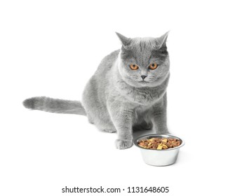 cute cat bowls amazon cute cat and bowl with food on white background cat bowl food on white stock photo edit now 1131648590 cute cat bowls amazon cute cat and bowl with food on white background cat bowl food on white stock photo edit now 1131648590