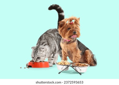 Cute cat and dog near bowls with food on turquoise background - Powered by Shutterstock