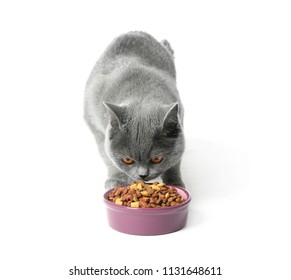 Cute Cat Eating From Bowl On White Background