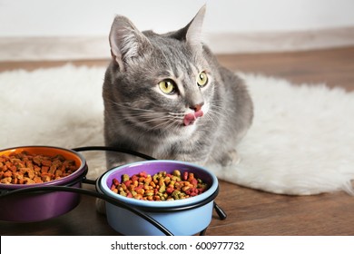 Cute Cat Eating On Floor At Home