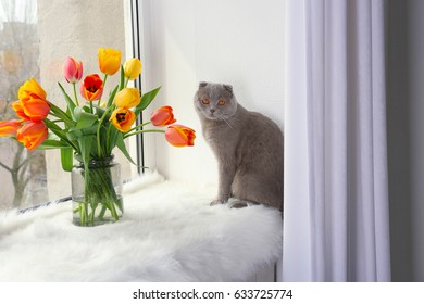 Cute Cat With Flowers On Window Sill