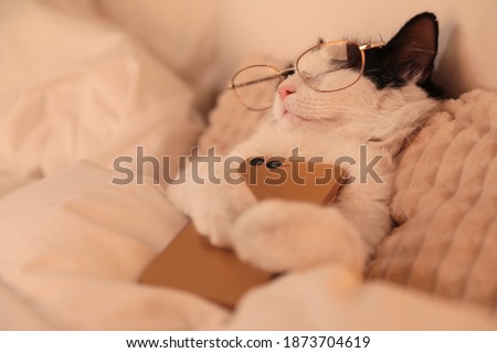Cute cat with glasses and smartphone sleeping on bed at home
