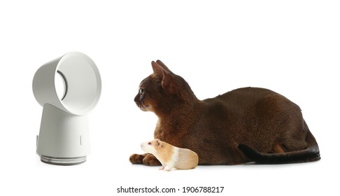 Cat Near Heating Images, Stock Photos u0026 Vectors  Shutterstock