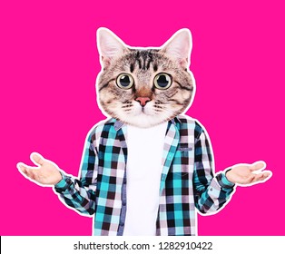 Cute Cat Head With Human Body On Pink Background