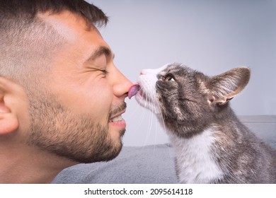 Cute cat licking or kissing owner's nose. Pets and humans friendship, love and trust concept