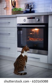 572 Cat pizza Stock Photos, Images & Photography | Shutterstock