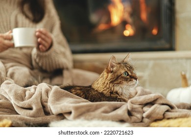 Cute cat lying on cozy blanket at fireplace close up, autumn hygge. Adorable tabby kitty relaxing at fireplace on background of owner in warm sweater with cup of tea in rustic farmhouse. - Shutterstock ID 2220721623