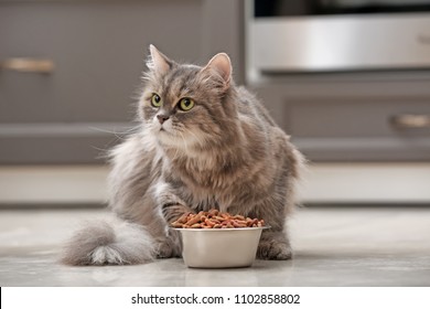 Cute Cat Near Bowl With Food At Home