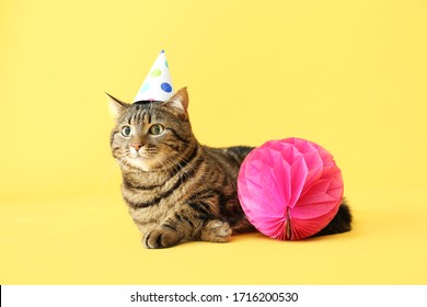 Cute Cat In Party Hat On Color Background