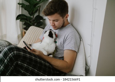 Cute Cat Playing And Kissing Owner And Attracting Attention From Smartphone. Handsome Man Sitting With Cat And Holding Phone In Hand In Stylish Modern Room