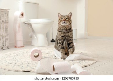 Cute Cat Playing With Roll Of Toilet Paper In Bathroom