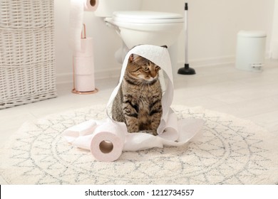 Cute Cat Playing With Roll Of Toilet Paper In Bathroom