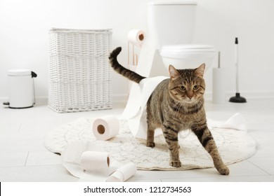 425 Cat wc Images, Stock Photos & Vectors | Shutterstock