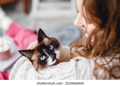 Cute Cat Portrait With Cat Owner. Pet Looking At Camera. Cosy Scene, Hygge Concept