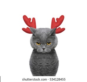 Cute Cat In Reindeer Antlers -- Isolated On White 