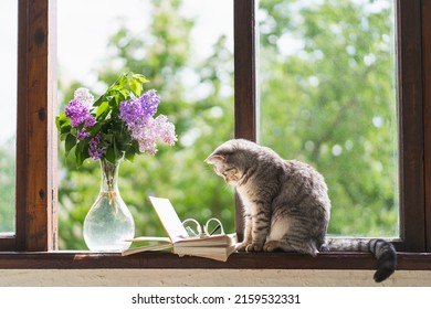 Cute cat of the Scottish straight sitting and vase with flower lilac, open book on a vintage windowsill. Still life details in home on a wooden window. Read and rest. Cozy spring concept.