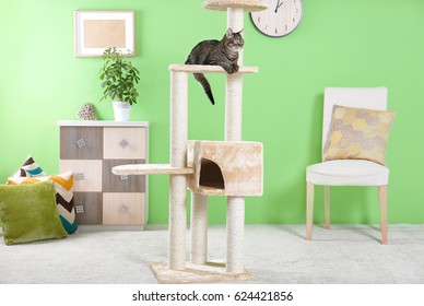 Cute Cat Sitting On Tree In Modern Room