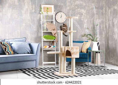 Cute Cat Sitting On Tree In Modern Room