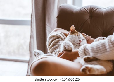 Cute cat sleeping on owners's hands one winter day. Girl relaxing with her pet on a sofa. Cosy scene, hygge concept. - Powered by Shutterstock