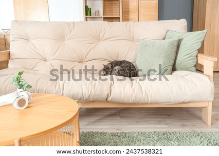 Cute cat sleeping on soft sofa at home