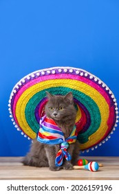 Cute cat with sombrero and maracas on color background