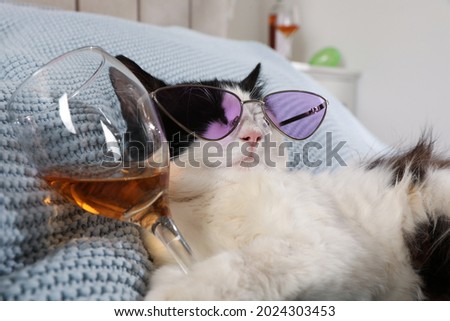 Cute cat with sunglasses and glass of alcohol on bed at home. After party hangover