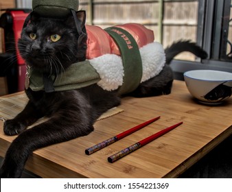 Cute Cat In Sushi Costume