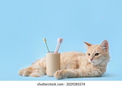 Cute cat with tooth brushes on color background - Shutterstock ID 2029285574