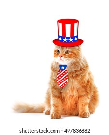 Cute cat in Uncle Sam hat and tie on white background. USA holiday concept.