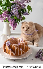 Cute Cat, Vanilla Bundt Cake And A Bouquet Of Lilac Flowers On A Light Background. Spring Tea Drinking. Greeting Card, Invitation Design. Cafe Menu, Poster. Lemon Bundt Cake Recipe. Spring Vibes