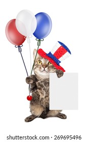 Cute cat wearing Fourth of July hat and holding balloons and a blank white sign to enter your message on