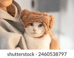 cute cat wearing a hat