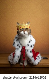 cute cat wearing king costume and crown looking majestic and royal with copy space - Shutterstock ID 2116662902