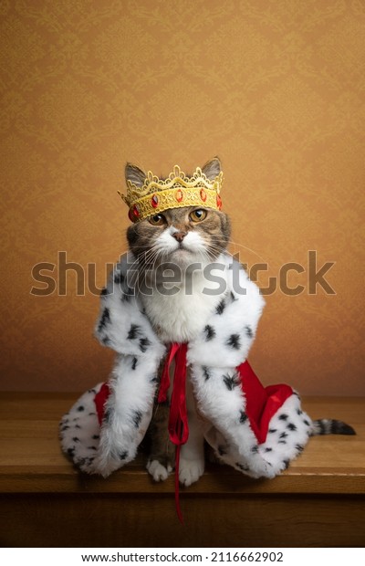 cute cat wearing king costume and crown\
looking majestic and royal with copy\
space