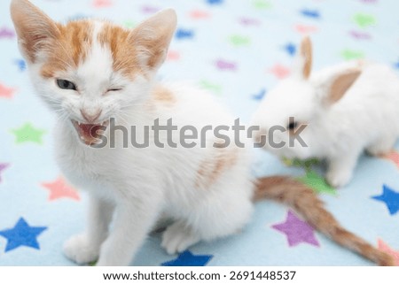 Cute cat winking while meowing next to an adorable rabbit Sweet scene that conveys friendship, tenderness, and love for animals ideal for pet and nature projects