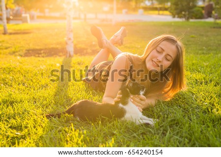 Augenblick Haustier Katze