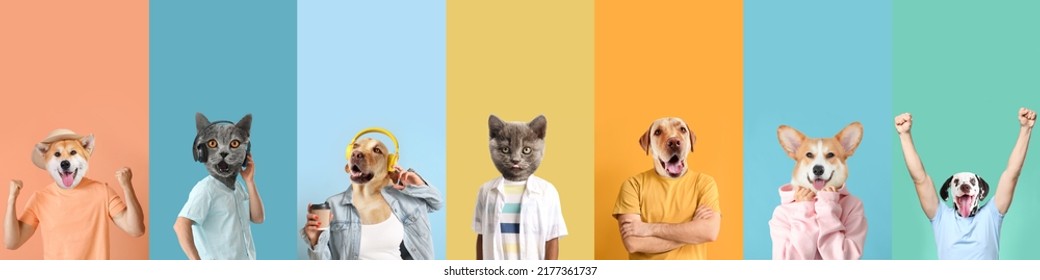 Cute Cats Dogs Human Bodies On Stock Photo 2177361737 | Shutterstock