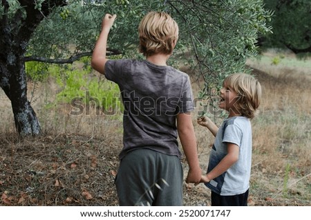 Similar – Foto Bild Ich habe für euch mal einen wunderschönen Strauß Sommerblumen gepflückt. Gräser sind auch mit drin. Ich hoffe, ihr habt keinen Heuschnupfen.