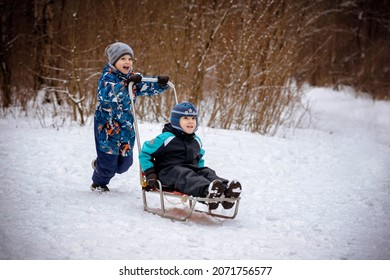 Cute Caucasian Boy Ride His Brother On Sleigh In Winter Park. High Quality Photo