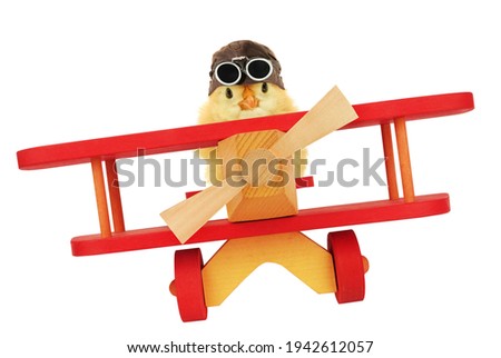 Cute chick aviator is flying by plane funny conceptual photo isolated on white background