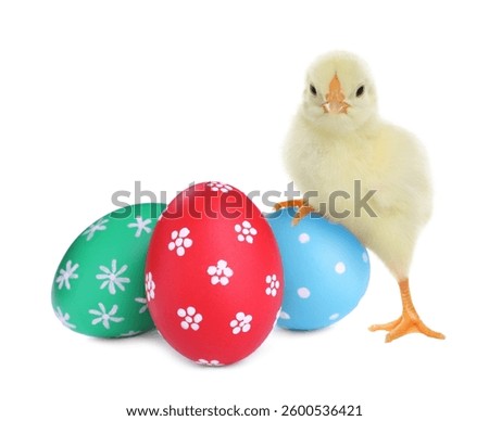 Cute chick and bright Easter eggs on white background