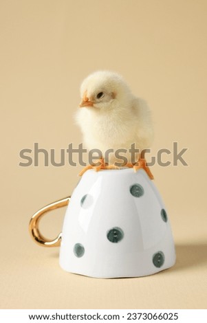Cute chick on cup against beige background, closeup. Baby animal