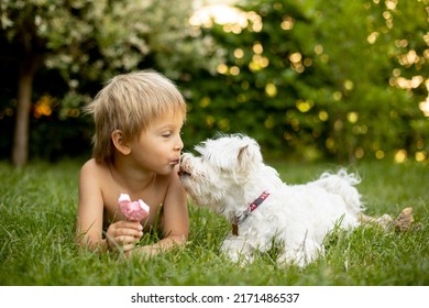 Cute Child, Boy And His Maltese Dog, Eating Doughnut Ice Cream In The Backyard Of His Home Garden