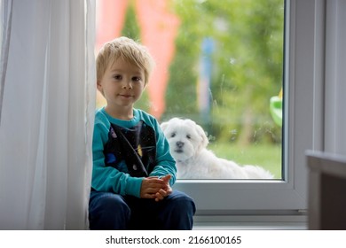 Cute Child, Boy And Maltese Puppy Dog, Sitting On A Door Entrance, Playing