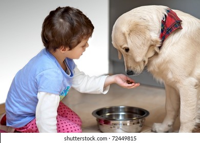 Cute Child Feeding His Pet Dog